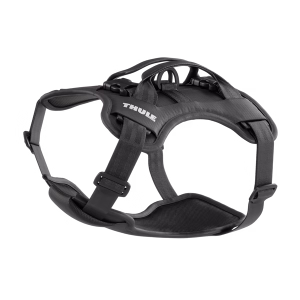 Thule Cappy 1